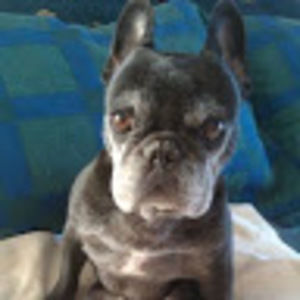 Meet your Posher, Steve